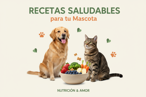Portada moderna para un ebook digital titulado Recetas Saludables para tu Mascota. El diseño debe mostrar un perro y un gato felices junto a un bowl con comida natural (frutas, verduras y galletas caseras). Fondo blanco o beige claro, estilo limpio y profesional, con tipografía legible en tonos verdes y naranjas. Debe transmitir bienestar, salud y amor por las mascotas.